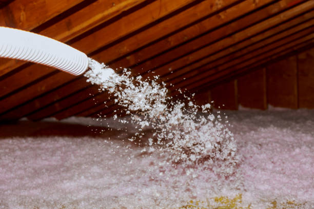 Best Residential Insulation Services  in Shorewood Forest, IN