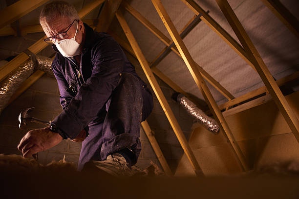 Best Local Insulation Services  in Shorewood Forest, IN