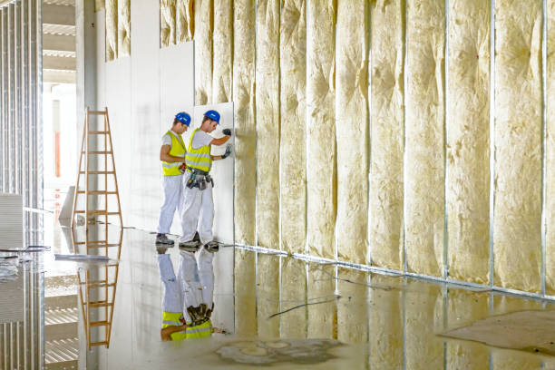 Best Insulation Removal  in Shorewood Forest, IN